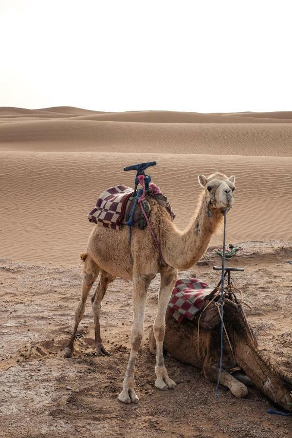 Tagounite Kasbah Aitisfoul酒店 外观 照片